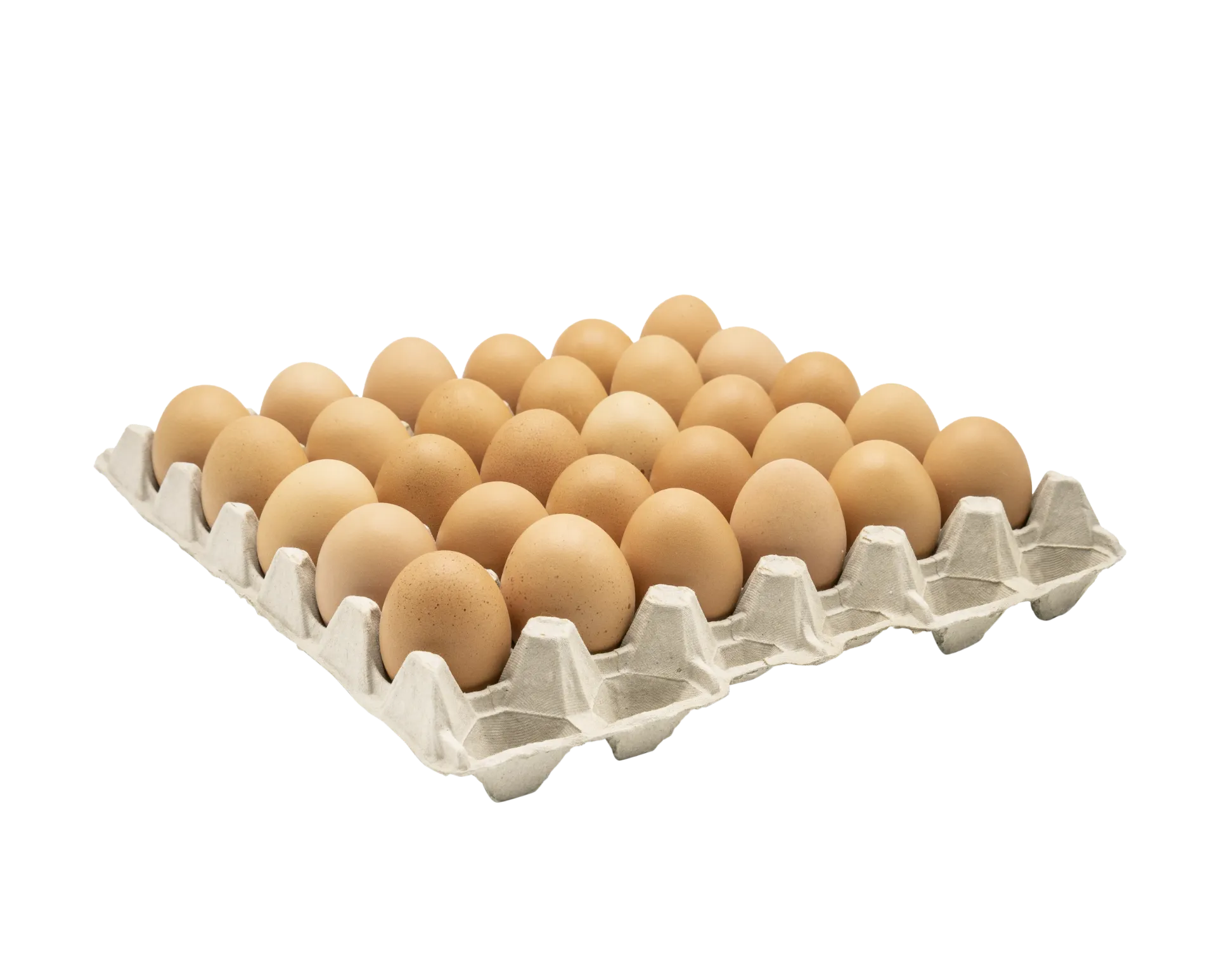 [1200] Oeufs des Prés bio M-L / VRAC