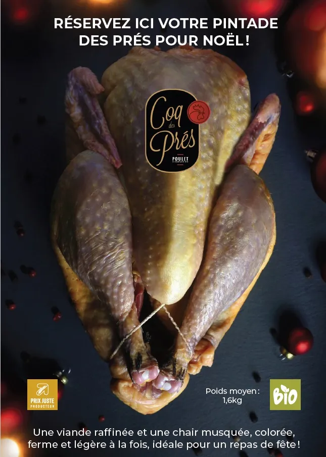 Pintade bio
