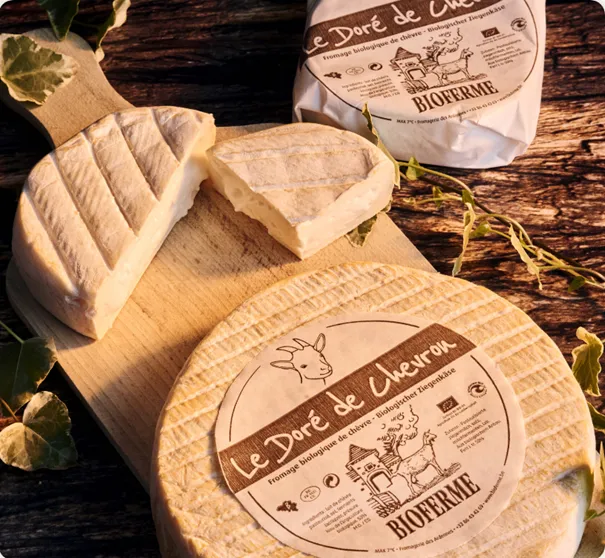 [BIOCHEVREDORE] Doré de Chevron